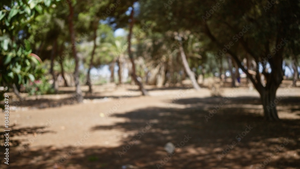 Blurred view of a defocused outdoor park scene with trees casting shadows on the ground, creating a serene bokeh effect on a sunny day Blurred view of a defocused outdoor park scene with trees casting shadows on the ground, creating a serene bokeh effect on a sunny day