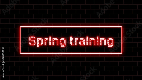 Spring training のネオン文字 photo