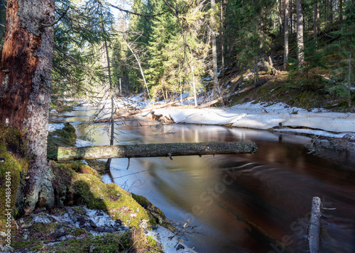 small, wild river in spring, calm river flow, ice and snow on the banks of the river, Strikupe, Vaidava, Latvia photo