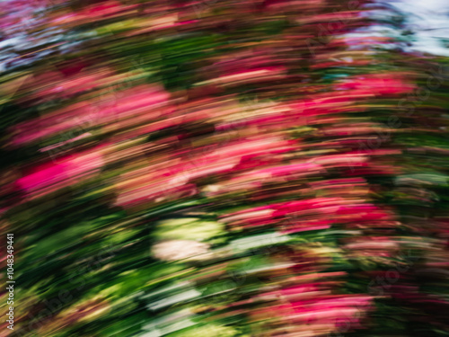 Flowers with motion blur