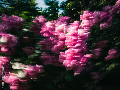 Flowers with motion blur
