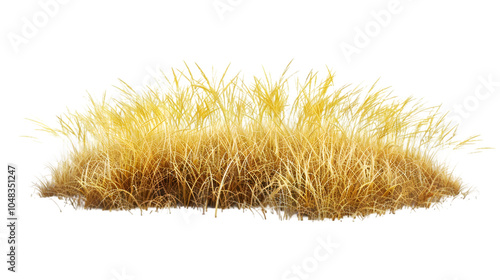 yellow grass png