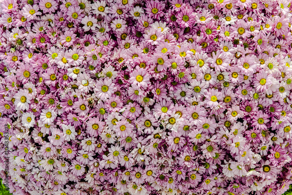 Naklejka premium Beautiful flowers decorations, flower background, backdrop wedding decoration, rose pattern, colorful background, bunch of flowers