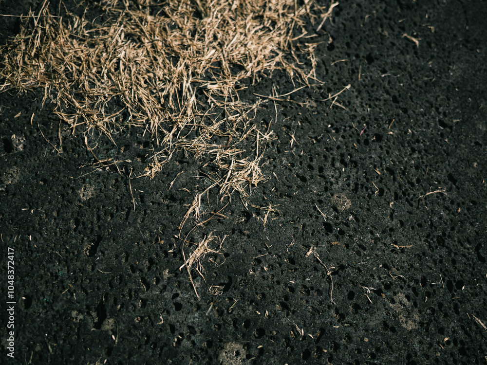 Stone surface with dry grass Stone surface with dry grass