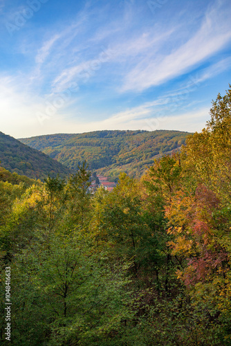 Autumn foliage treetop looking down to a village in the valley photo