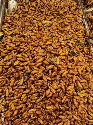 Photography Fried silkworm pupae, Thai street food, fried insects, bizarre food, tastes a bit oily and salty, only some people like to eat them