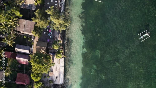 lush nature on an island in asia