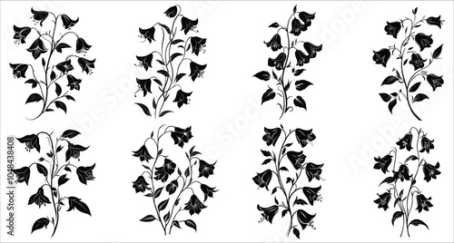 Beautiful bellflower silhouettes vector. Bellflower silhouettes for elegant designs. Set of decorative bellflower silhouettes. Vector illustrations of bellflower. Black silhouettes of bellflower