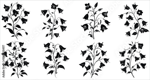 Beautiful bellflower silhouettes vector. Bellflower silhouettes for elegant designs. Set of decorative bellflower silhouettes. Vector illustrations of bellflower. Black silhouettes of bellflower