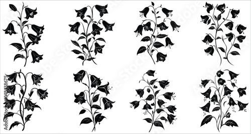 Beautiful bellflower silhouettes vector. Bellflower silhouettes for elegant designs. Set of decorative bellflower silhouettes. Vector illustrations of bellflower. Black silhouettes of bellflower