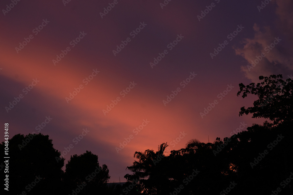 Fototapeta premium sunset in the sky