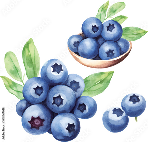 blueberries with leaves