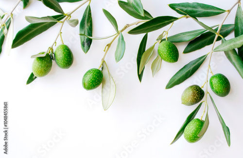 Wallpaper Mural Whole green olives with olive branches on a white background. Copy space. Food concept. Banner Torontodigital.ca