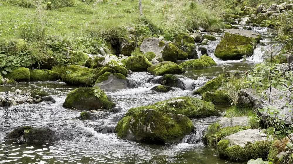 clear water creek stream with large mossy boulders, running idyllic with small cascades in alpine meadow with audio clear water creek stream with large mossy boulders, running idyllic with small cascades in alpine meadow with audio