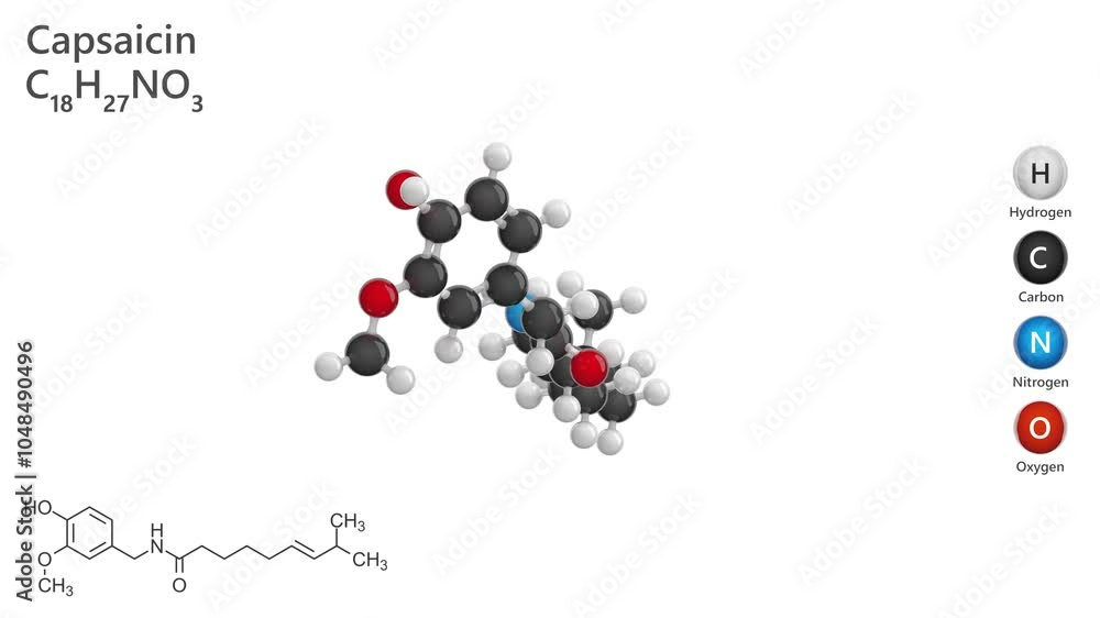 Capsaicin. Analgesic. Chili peppers. Animated 3D model of a molecule. Molecular formula: C18H27NO3. Chemical model: Ball and stick. White background. 3D rendering. Seamless loop. Capsaicin. Analgesic. Chili peppers. Animated 3D model of a molecule. Molecular formula: C18H27NO3. Chemical model: Ball and stick. White background. 3D rendering. Seamless loop.
