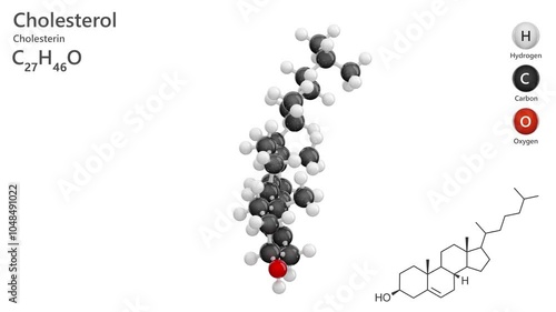 Cholesterol or Cholesterin. Steroid. Animated 3D model of a molecule. Molecular formula: C27H46O. Chemical model: Ball and stick. White background. 3D rendering. Seamless loop.