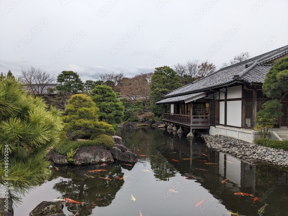 Himeji, Japan - 12.19.2023: A traditional house with a wooden observation deck over a peaceful pond full of goldfishes surrounded by trees in Koko-en under a cloudy sky without tourists Himeji, Japan - 12.19.2023: A traditional house with a wooden observation deck over a peaceful pond full of goldfishes surrounded by trees in Koko-en under a cloudy sky without tourists
