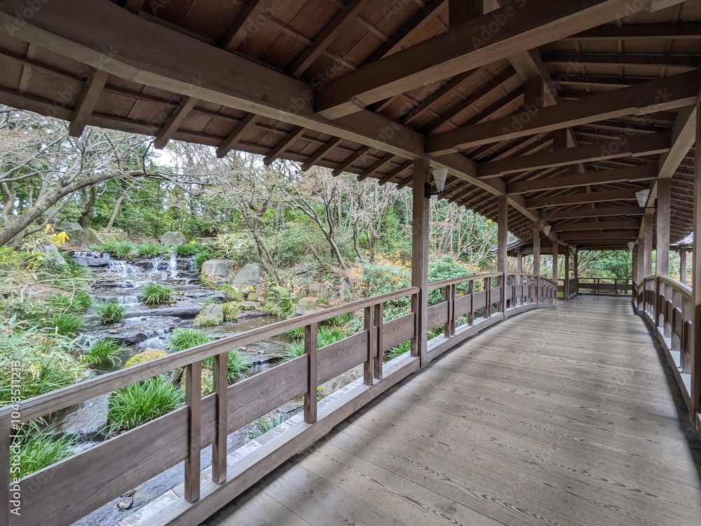 Fototapeta premium Himeji, Japan - 12.19.2023: Interior of a wooden walkway on a bridge with a traditional roof across a cascade alongside greenery in Koko-en without tourists