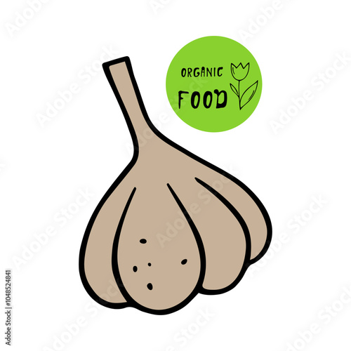 Garlic vegetable,grocery shopping in the store and supermarket. Everyday shopping,farm products,natural healthy organic food,nutritional nutrients,buying for health,purchases for home,housekeeping