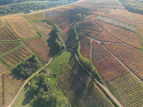 Vignoble du Beaujolais en automne entre Quincié-en-Beaujolais et Mont Brouilly, dégradé de couleurs des vignes des parcelles photo