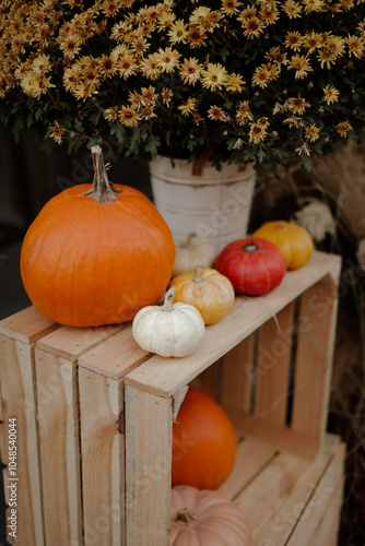 Autumn vibes with pumpkins outdoors