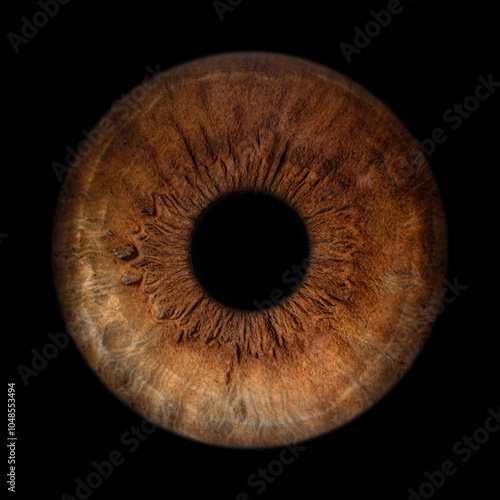 Iris Photography - Unique Singularity_27