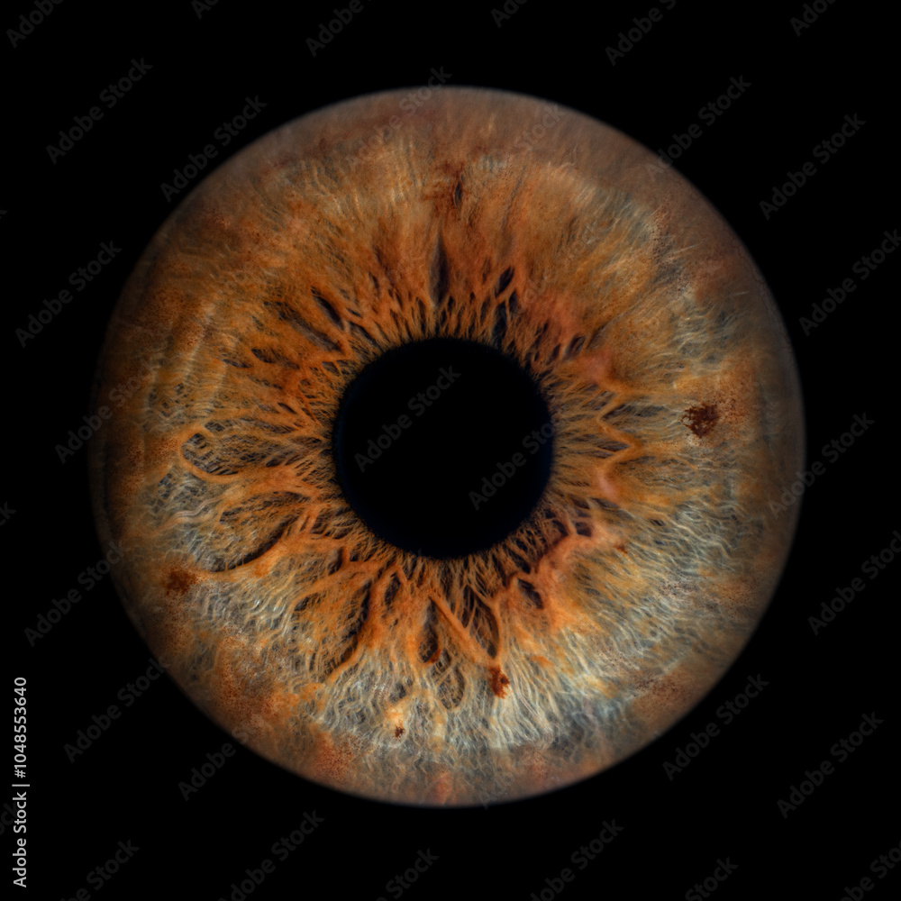 Iris Photography - Unique Singularity_15 Iris Photography - Unique Singularity_15