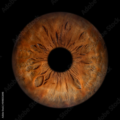 Iris Photography - Unique Singularity_6