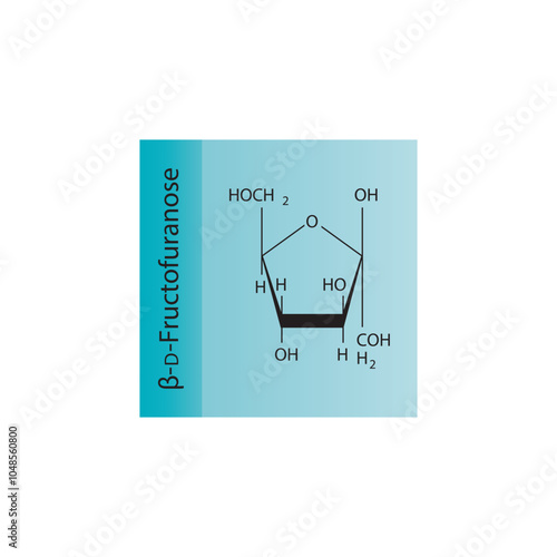 β-D-Fructofuranose skeletal structure diagram.Sugar compound molecule scientific illustration.
