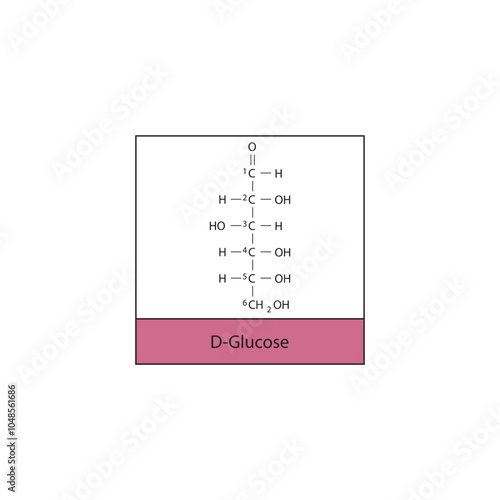 D-Glucose (straight chain form) skeletal structure diagram.Sugar compound molecule scientific illustration.