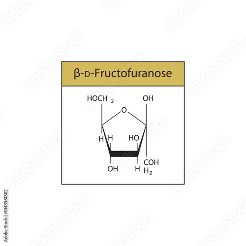 β-D-Fructofuranose skeletal structure diagram.Sugar compound molecule scientific illustration.