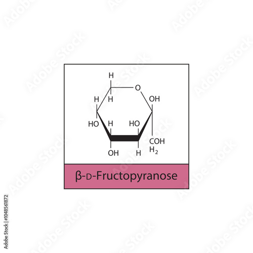 β-D-Fructopyranose skeletal structure diagram.Sugar compound molecule scientific illustration.