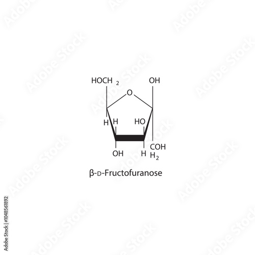 β-D-Fructofuranose skeletal structure diagram.Sugar compound molecule scientific illustration.