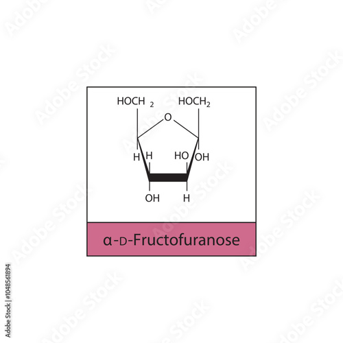 α-D-Fructofuranose skeletal structure diagram.Sugar compound molecule scientific illustration.