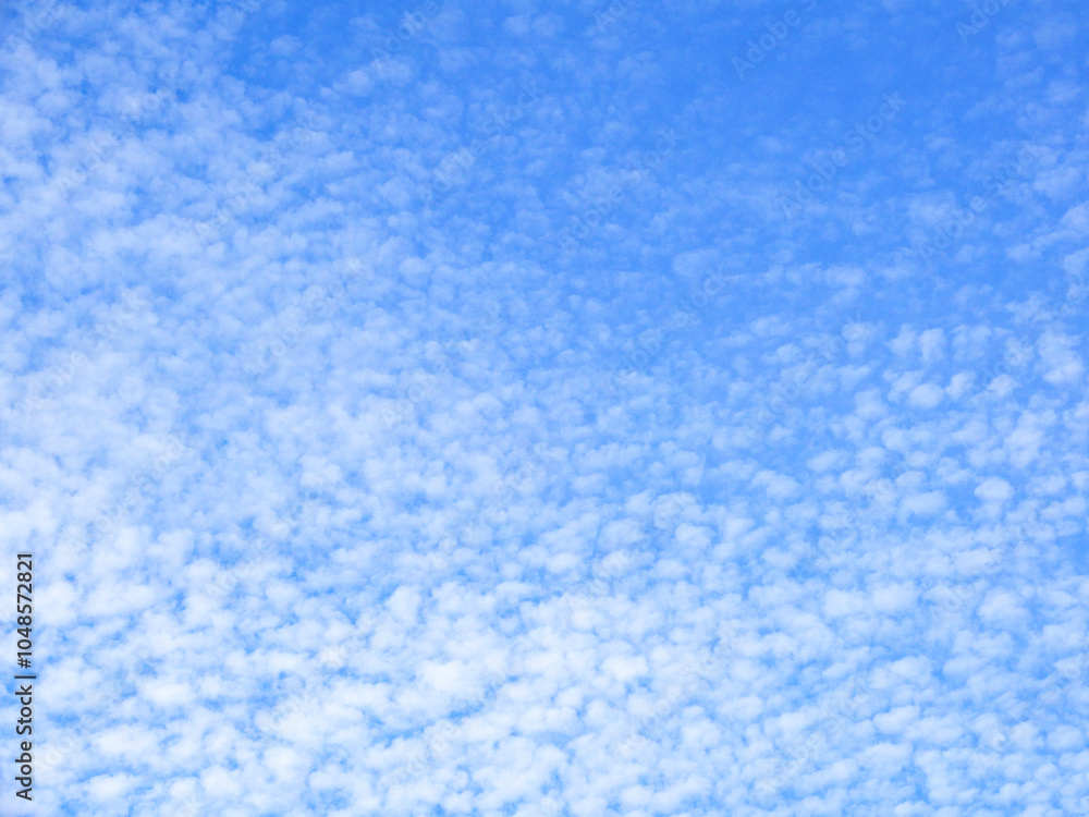 Obraz premium 秋の空のうろこ雲