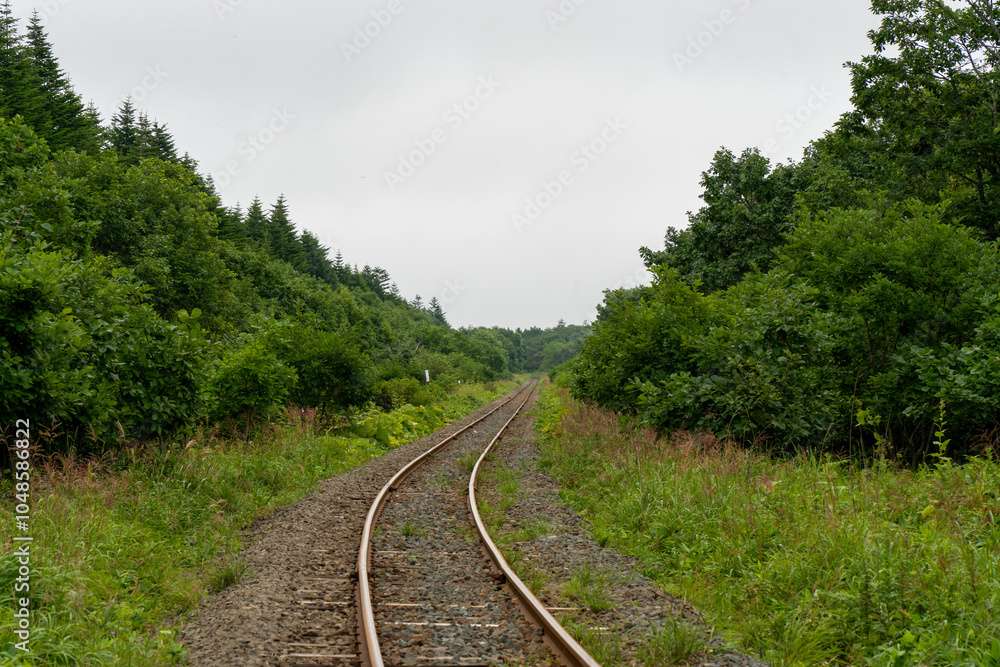 Fototapeta premium railway in the countryside