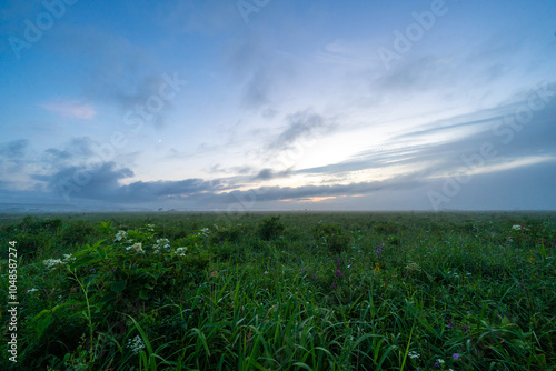 Kiritappu wetland in Hokkaido, Japan photo