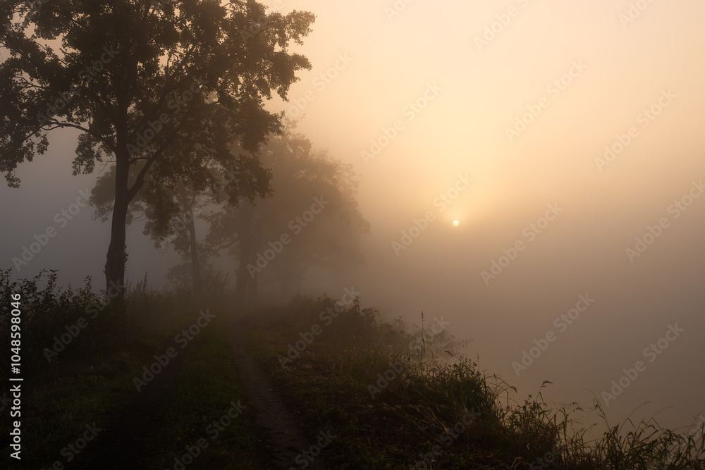 Fototapeta premium Jesienny mglisty poranek, tapeta.