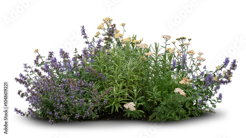 Composition of different blooming flowers and plants isolated on white background