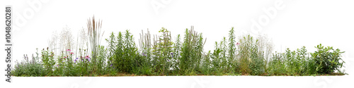 Large flowerbed with many different plants and flowers isolated on white background