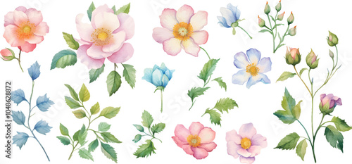 spring flowers background