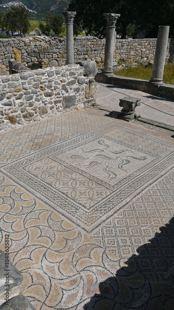 Obraz premium Mosaics in the old Berber - Roman city of Volubilis in Morocco. Developed from the 3rd Century BC.