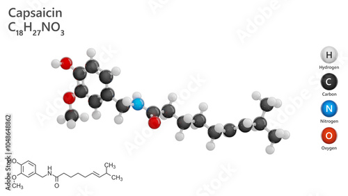 Molecule: Capsaicin. Analgesic. Chili peppers. Molecular structure. Formula: C18H27NO3. Chemical model: Ball and stick. White background. 3D illustration. photo