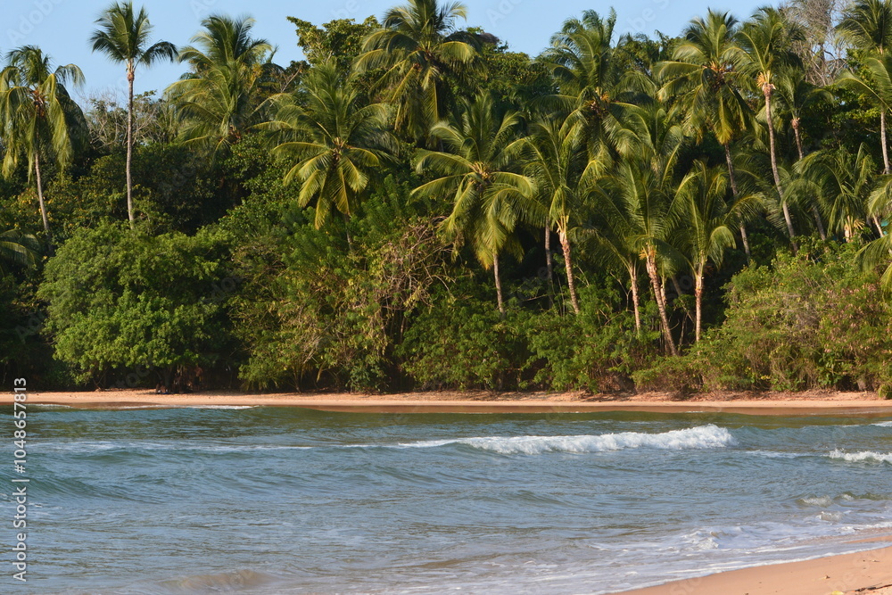 Obraz premium barra grande - bahia