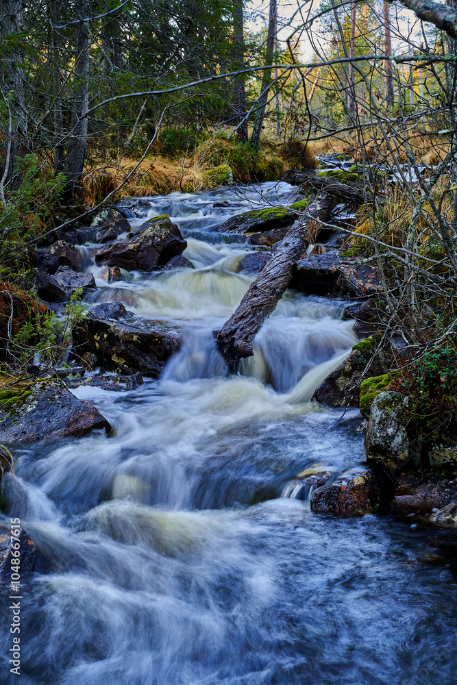Obraz premium mountain river in the forest