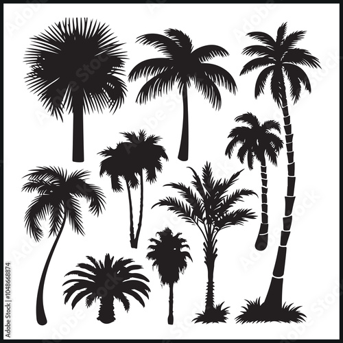 Tropical coconut, palm tree silhouette