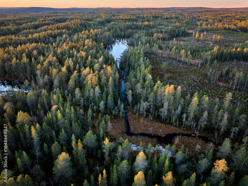 Fototapeta premium Small lake in the forest