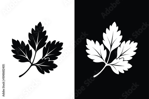 Coriander leaf logo icon vector illustration on white background.	