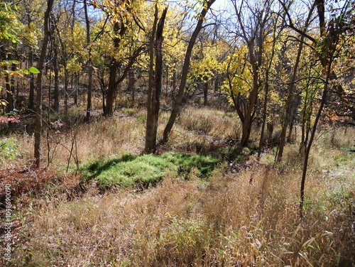 Beautiful Fall Scenes at Ernie Miller Olathe KS photo