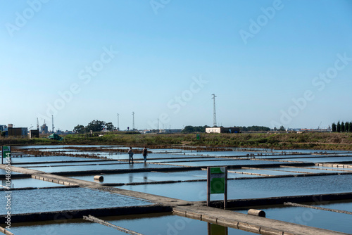 View of the Aveiro salt flats. Central Region, Portugal.